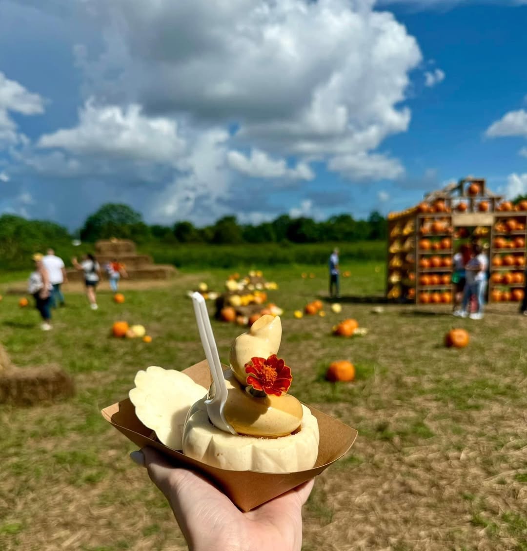 Cold Treats